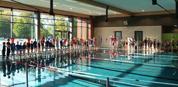 Bild für Sportart SCHWIMMEN IM VEREIN