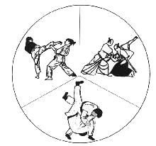 Logo wo drei Kampfsportarten dargestellt wurden.